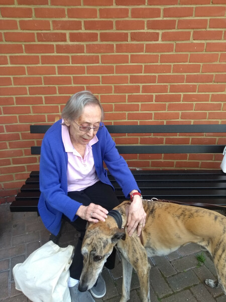 Rescue dog Tigger with Paula's mum