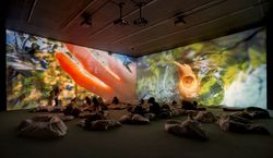 Pipilotti Rist: Worry Will Vanish