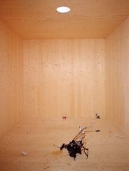 Schweben in einer Kiste (To Float in a Crate)