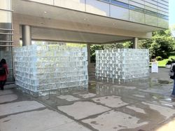 Fluids