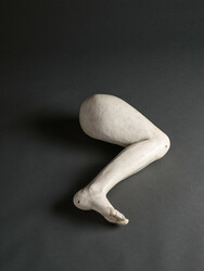 Noga (Leg)