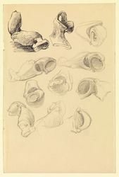 Studies of Lobster Claws