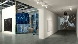 Installation view, ‘Ellen Gallagher. Nu-Nile’, The Power Plant, Toronto, Canada.
