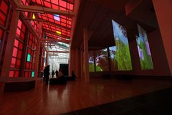 Pipilotti Rist: The Tender Room