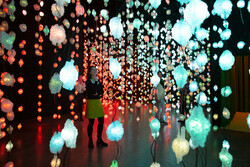 Pipilotti Rist. Åbn min lysning (Open My Glade)