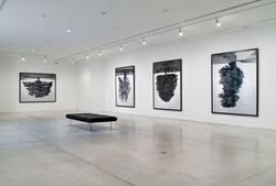 Installation view, ‘Rodney Graham. A Little Thought,’ Vancouver Art Gallery, Canada