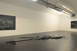 Installation view, ‘Manganese make my Colors Blue’, MAK Museum für Angewandte Kunst, Vienna, Austria