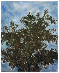 Big Tree (2)
