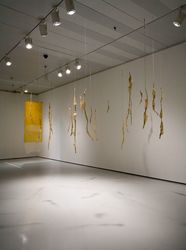Eva Hesse: Sculpture