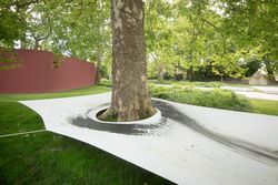 A Circle for Venice