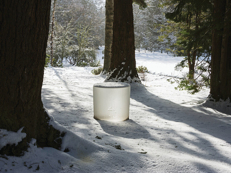 Thumbnail Image for Ursula Article titled Plein Air: A Look at New Work by Roni Horn