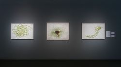Installation view, ‘Eclipse. Art in a Dark Age’, Moderna Museet, Stockholm, Sweden, 2008