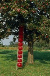 Leiter mit Ballonen (Ladder with Balloons)