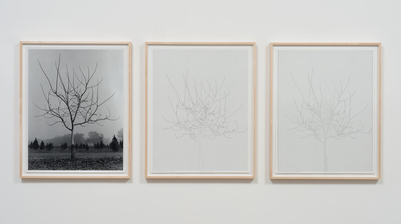 Thumbnail Image for Ursula Article titled A Love Supreme: Charles Gaines and Trees