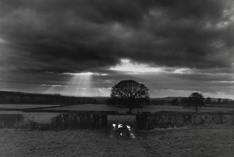 Image for news titled Family Saturday at Home: Don McCullin