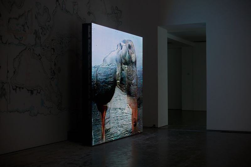 Huyghe Serpentine 2018