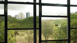 Installation view, 29th São Paulo Biennial, Brazil