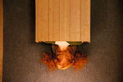 Squeeze