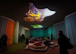 Elixir: The Video Organism of Pipilotti Rist