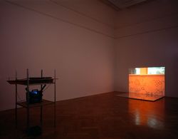 Untitled (Pink Room)