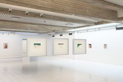 Installation view, 'Anj Smith. Sea Lily, Feather Star', Sara Hildén Art Museum, Tampere, Finland