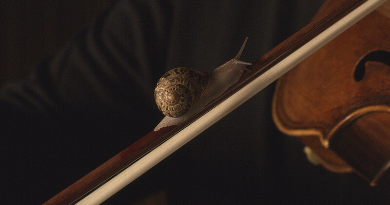 SNAIL_1.50.1_reference