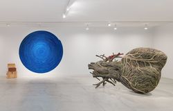 Installation view, 'Bharti Kher: Matter', Vancouver Art Gallery, Vancouver, Canada