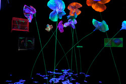 Garden of the Metamorphosis in the Space Capsule (interior view)