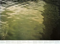 Still Water (The River Thames, for Example) (details)