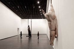 'Berlinde De Bruyckere. We are all Flesh', ACCA, Melbourne, Australia, 2012