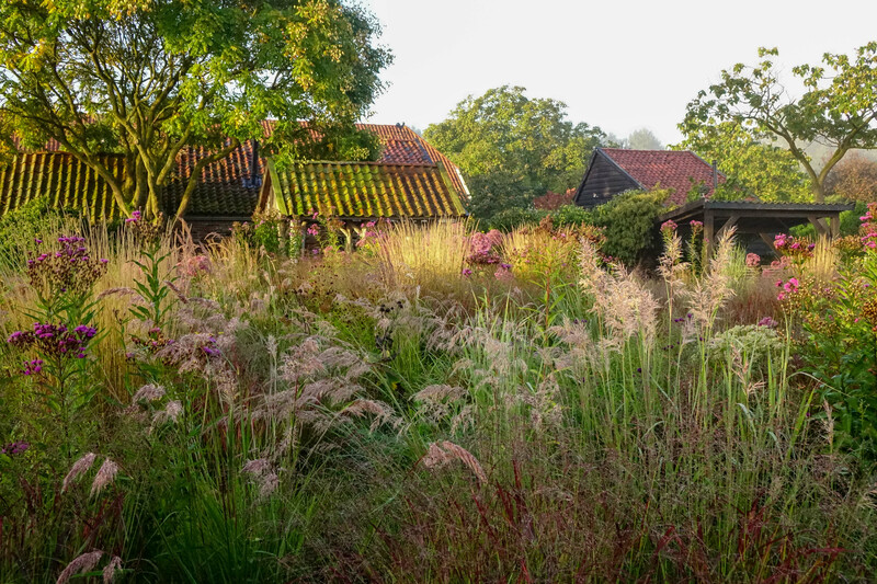 24 key plants from Piet Oudolf's field at Hauser and Wirth art gallery and  garden in Somerset - Gardens Illustrated