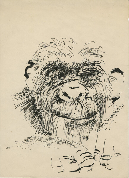 PMC_PMCC53_PMC.919_Gorilla self portrait.jpg