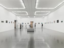 PI (Installation views)