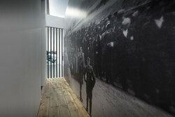 Historic Photographs: The Ramp at Auschwitz, Summer 1944