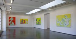 Installation view, Serpentine Gallery, London, United Kingdom