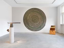 Installation view, ‘Bharti Kher’, Salon Berlin, Museum Frieder Burda, Berlin, Germany