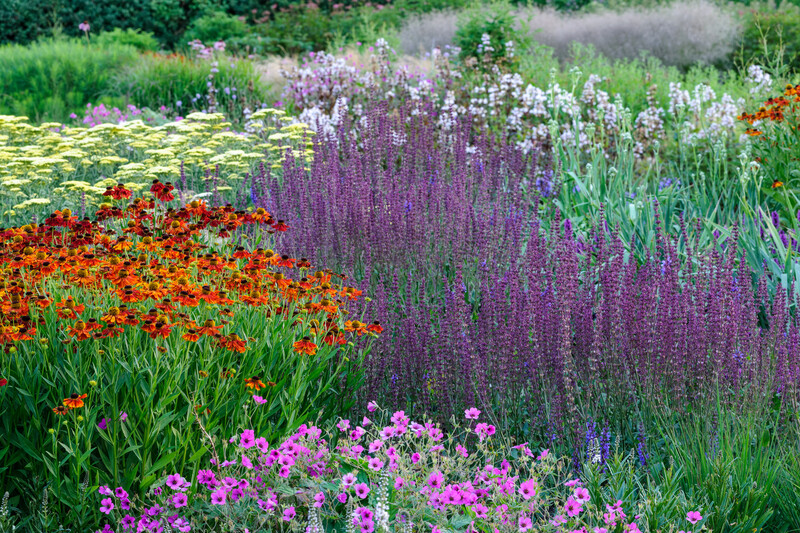 The Beautiful Perennial Gardens of Piet Oudolf, the World's