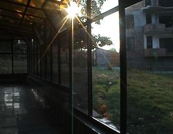 Arena