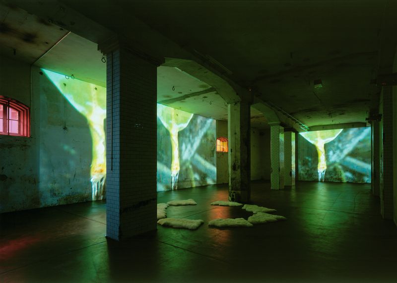 Thumbnail image for exhibition titled Pipilotti Rist