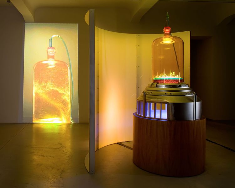 Thumbnail image for event called Exhibition Walkthrough with Douglas Fogle