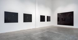 Installation view, ‘Ellen Gallagher. Accidental Records’, Hauser & Wirth Los Angeles, CA