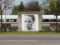 Billboards in Bregenz, as part of 'Roni Horn. Well and Truly', Kunsthaus Bregenz, Bregenz, Austria