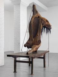 thul-F2DEF771-EBE5-417B-