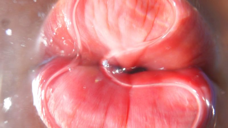 Image for news titled Pipilotti Rist: Stay Stamina Stay
