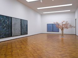 Installation view, ‘Susan Hefuna – Bharti Kher – Fred Tomaselli: Between the Worlds’, Kunstmuseum Thun, Switzerland