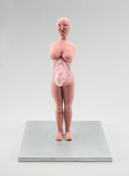 Umbilical Cord