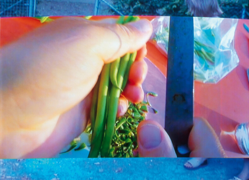 Thumbnail Image for Ursula Article titled Pipilotti Rist’s Japanese Pickles