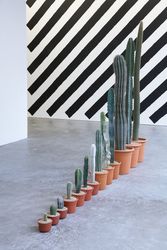 Installation view, ‘Martin Creed’, Ikon Gallery, Birmingham, United Kingdom