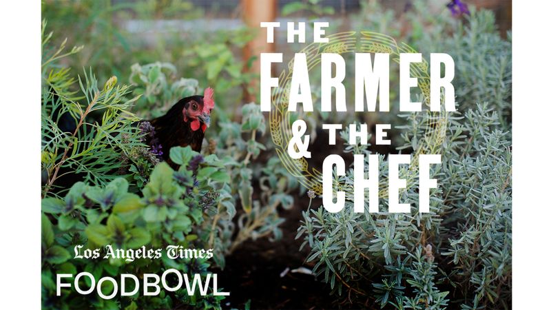 Image for events titled The Farmer and The Chef Festival
