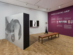 Arp: - Master of 20th Century Sculpture - Hauser & Wirth